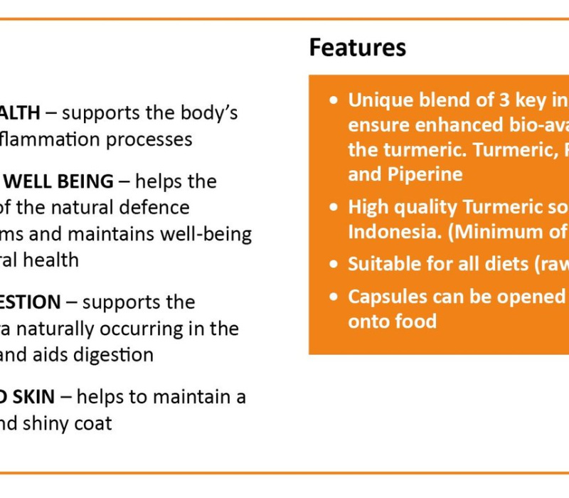 key-benefits-turmeric-capsules-for-pets